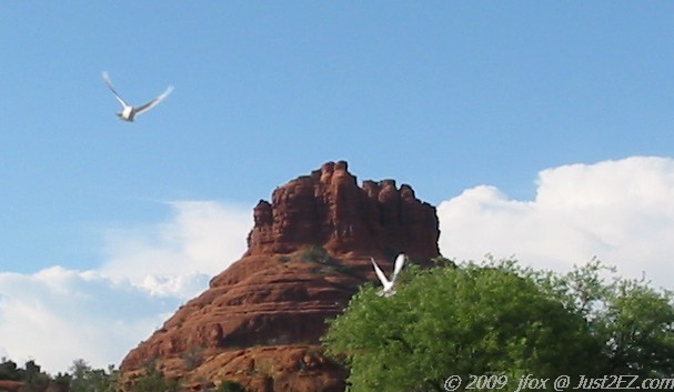 Bell Rock Wedding Doves by jfox - Sedona, AZ